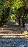 Maenza