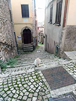 Maenza