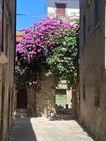 Maenza